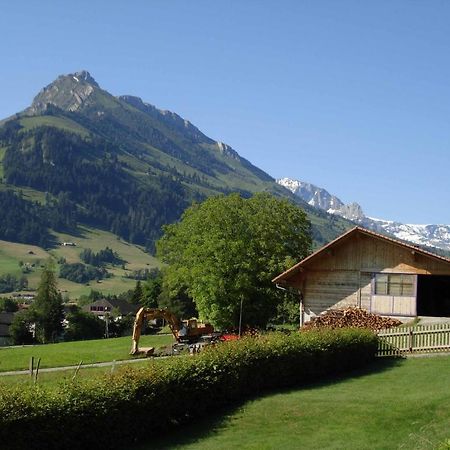 Studio Elsighorn Apartamento Frutigen Exterior foto