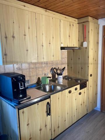 Studio Elsighorn Apartamento Frutigen Exterior foto
