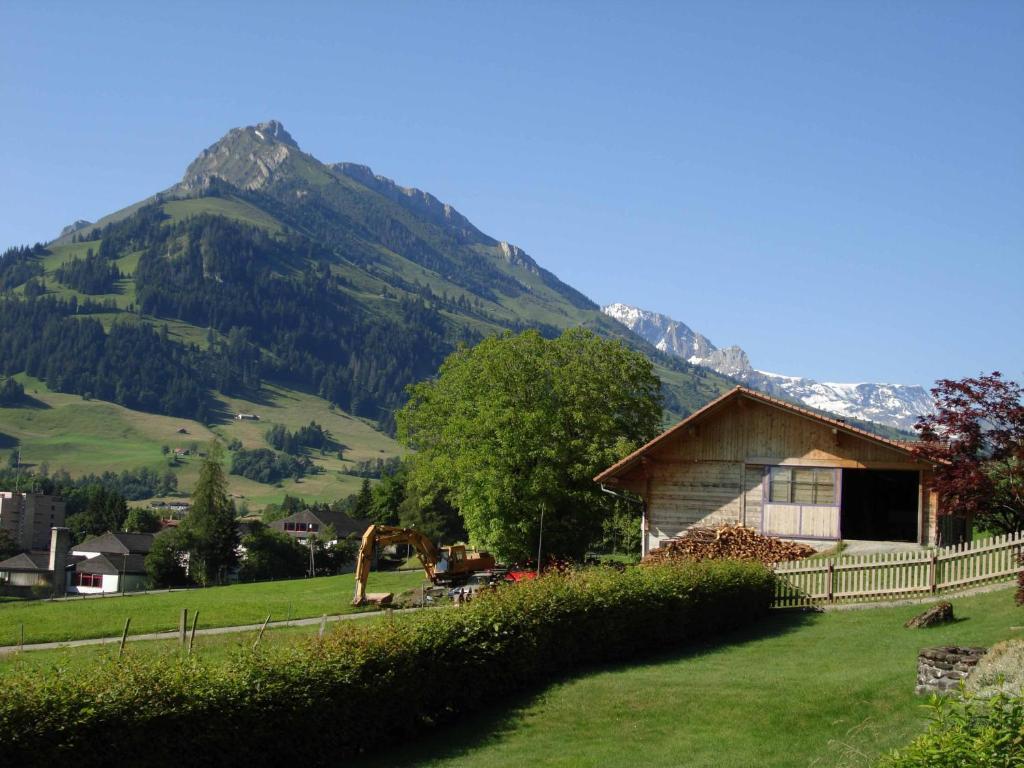Studio Elsighorn Apartamento Frutigen Exterior foto